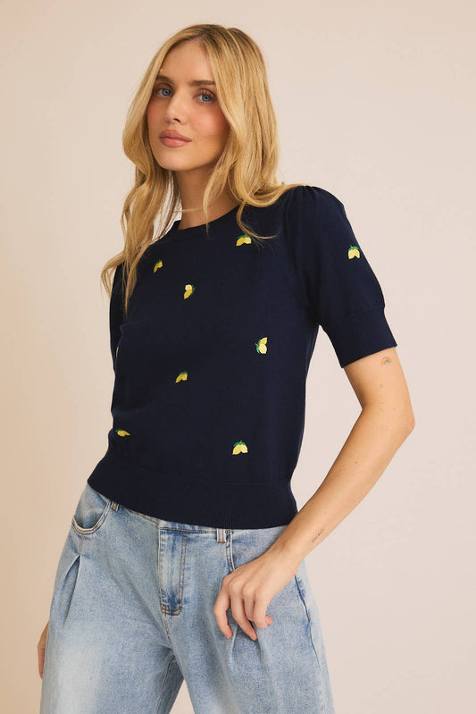 Round Neck Puff Sleeve Embroidered Knit Top