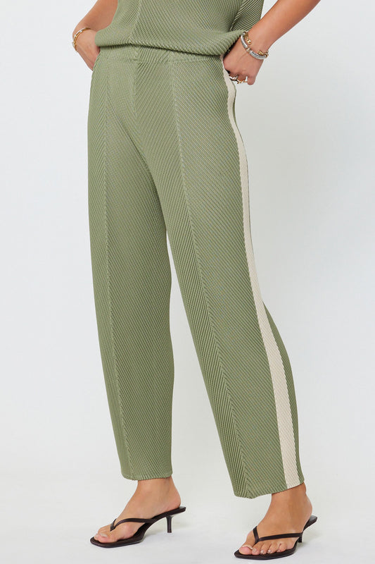 Pleated Tapered Pants