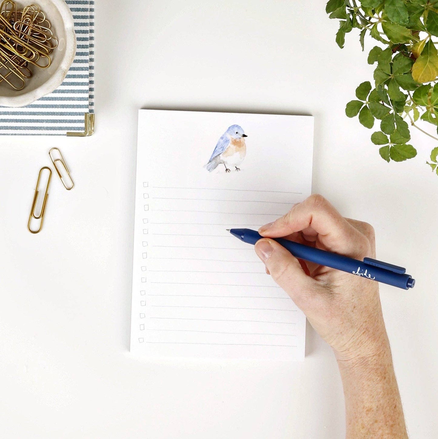 Checklist notepad emily lex studio