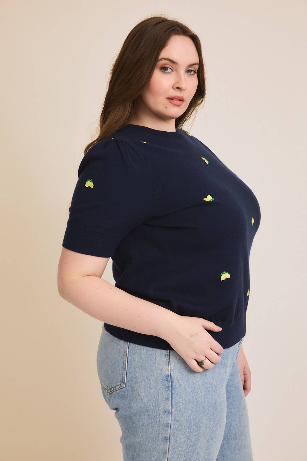 Round Neck Puff Sleeve Embroidered Knit Top