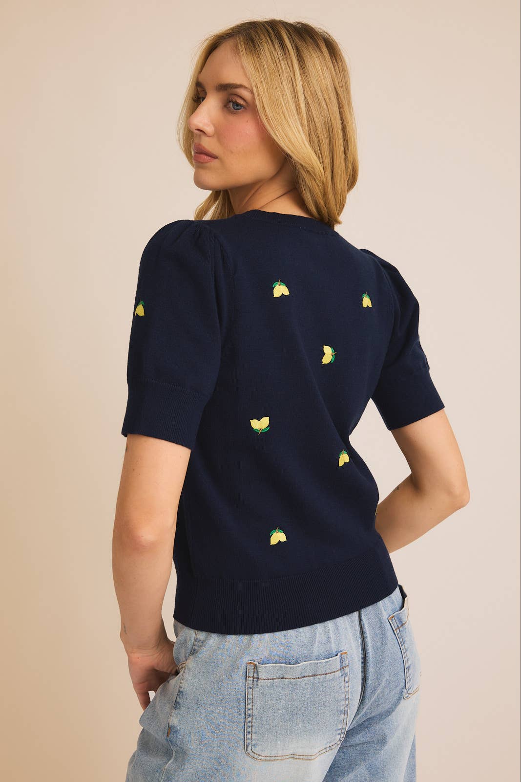 Round Neck Puff Sleeve Embroidered Knit Top