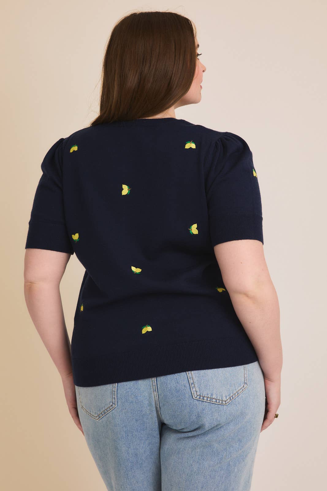 Round Neck Puff Sleeve Embroidered Knit Top