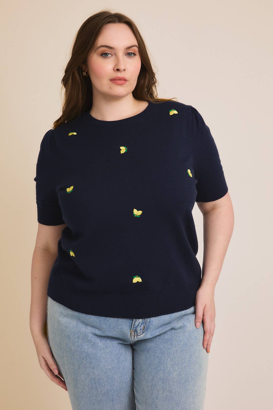 Round Neck Puff Sleeve Embroidered Knit Top