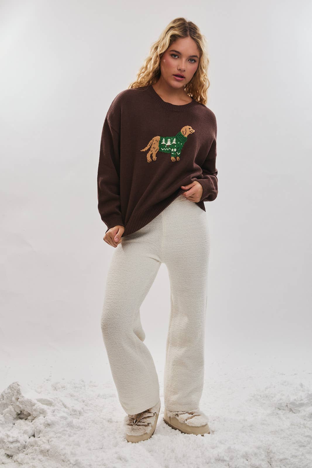 LONG SLEEVE CREW NECK DOG WITH SWEATER GRAPHIC SWEATER