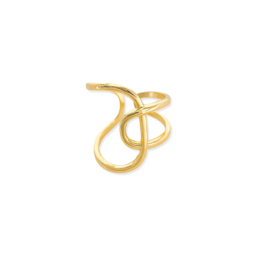 Interlocked Loop Ring