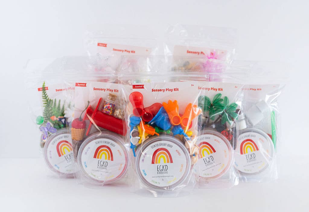 Transportation Sensory Play Dough Kit Earth Grown KidDoughs (KidDoughs by EGKD)