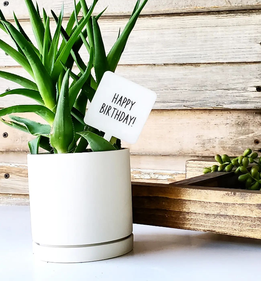 Snarky Plant Marker Stake -  Happy Birthday