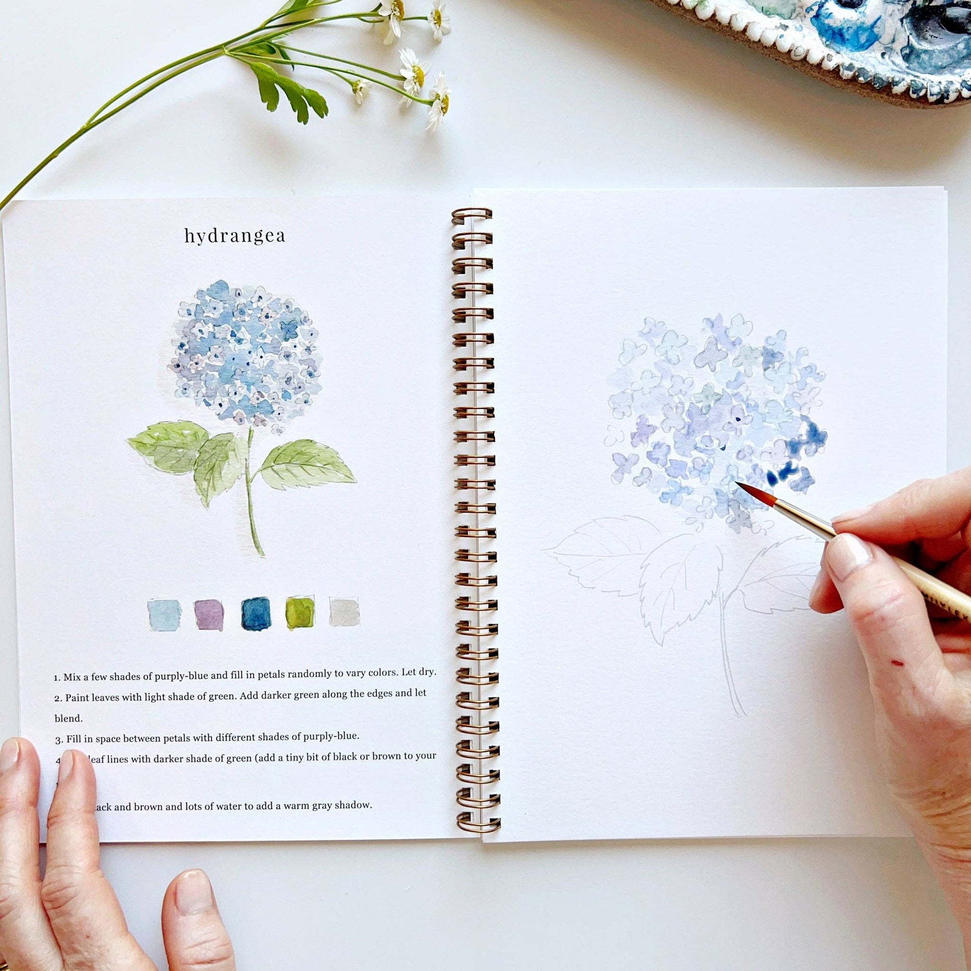 Flowers watercolor workbook emily lex studio