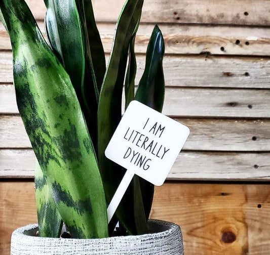 Snarky Plant Marker Stake - I'm Literally Dying