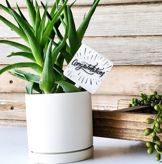 Snarky Plant Marker Stake -  Congratulations