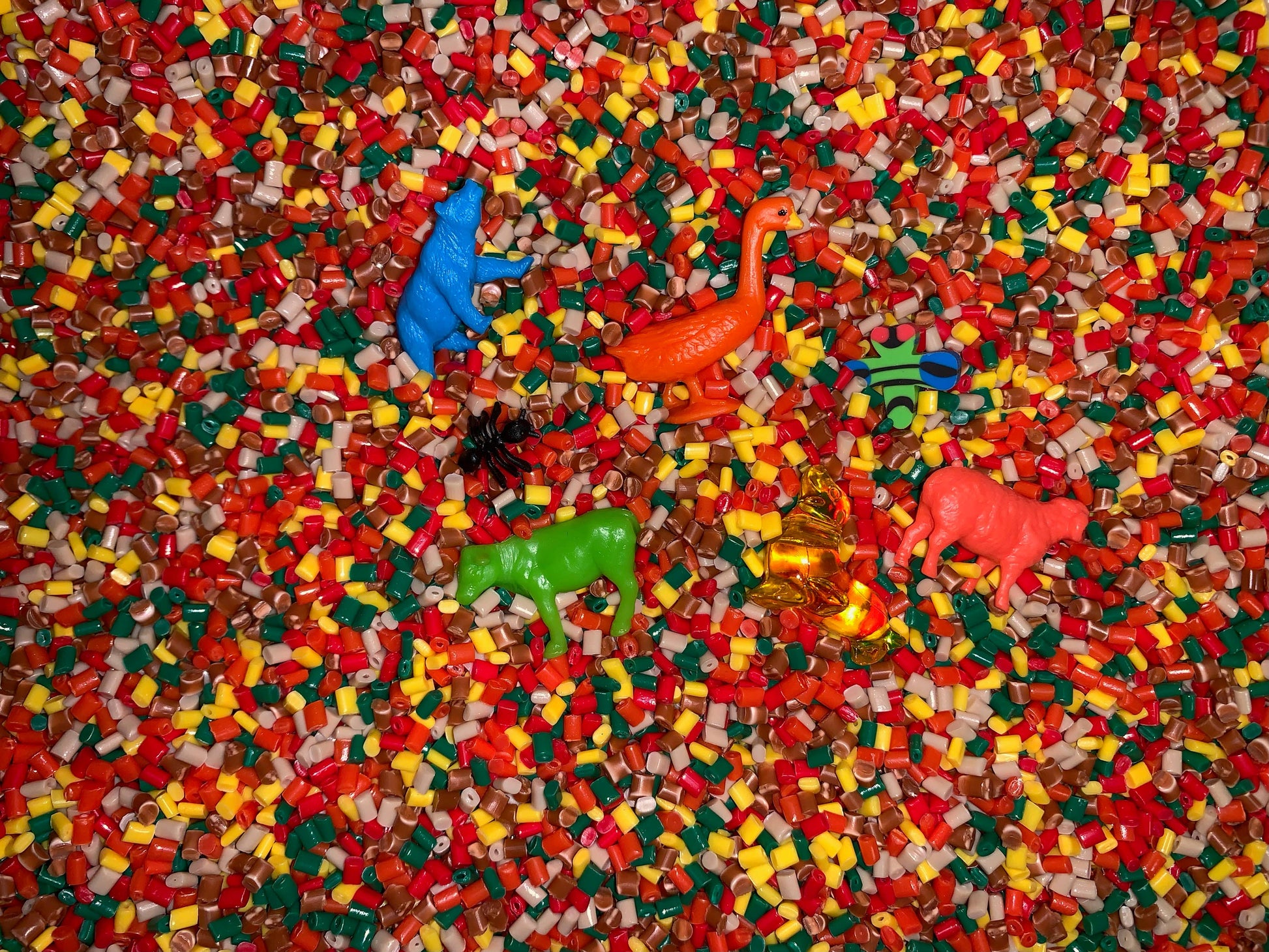 find it At  The Zoo Find It Games