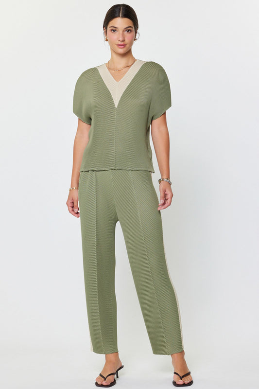 Pleated Tapered Pants