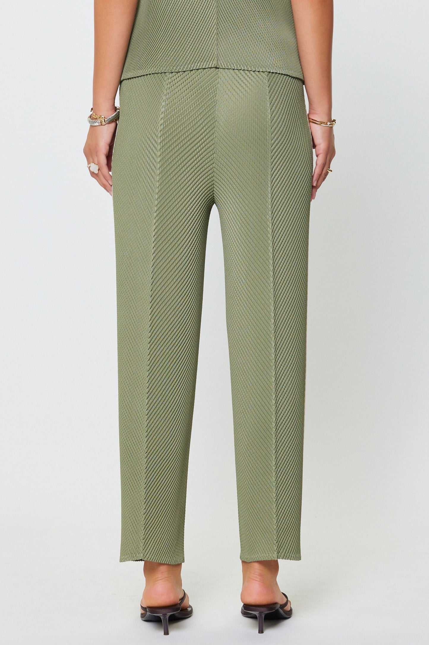 Pleated Tapered Pants