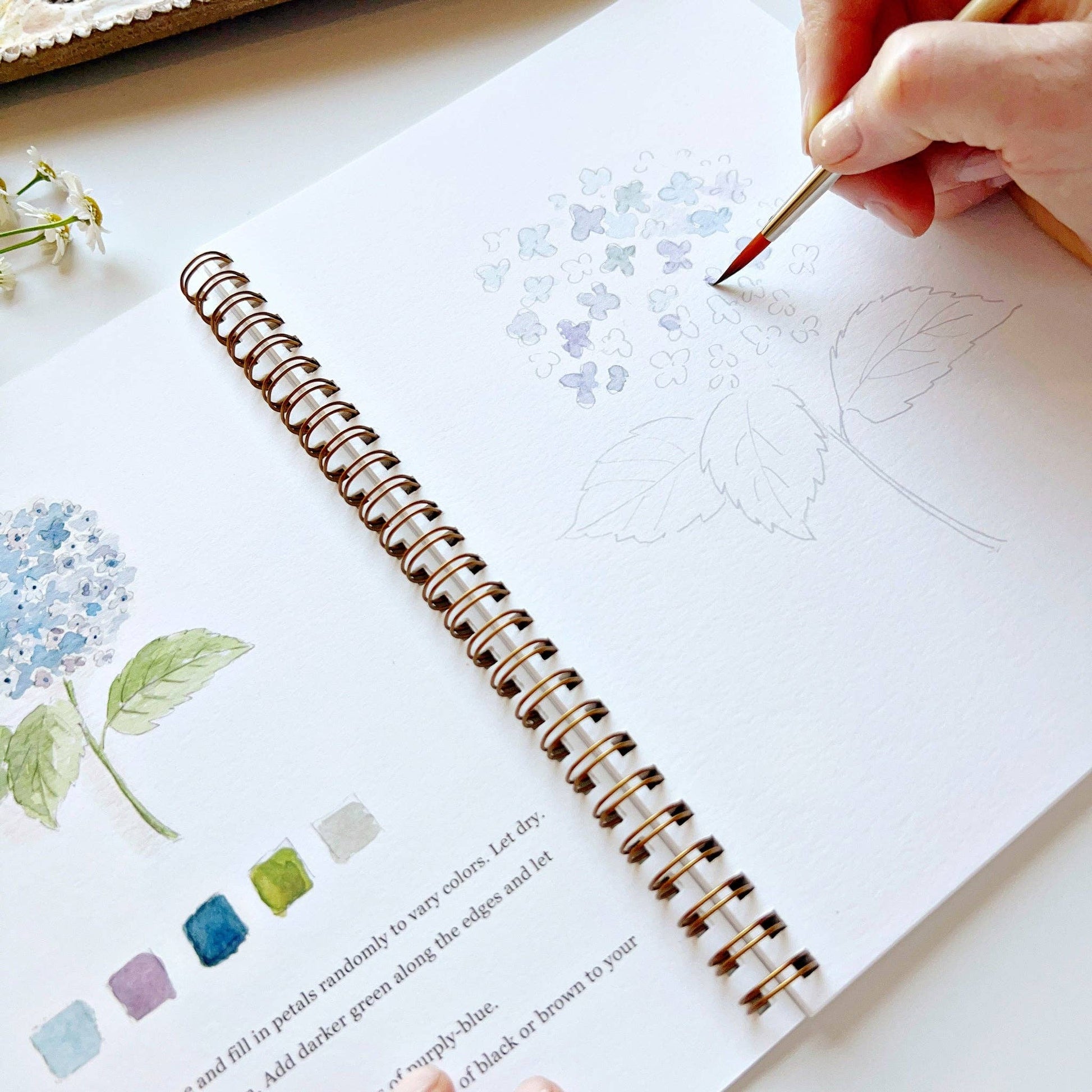 Flowers watercolor workbook emily lex studio