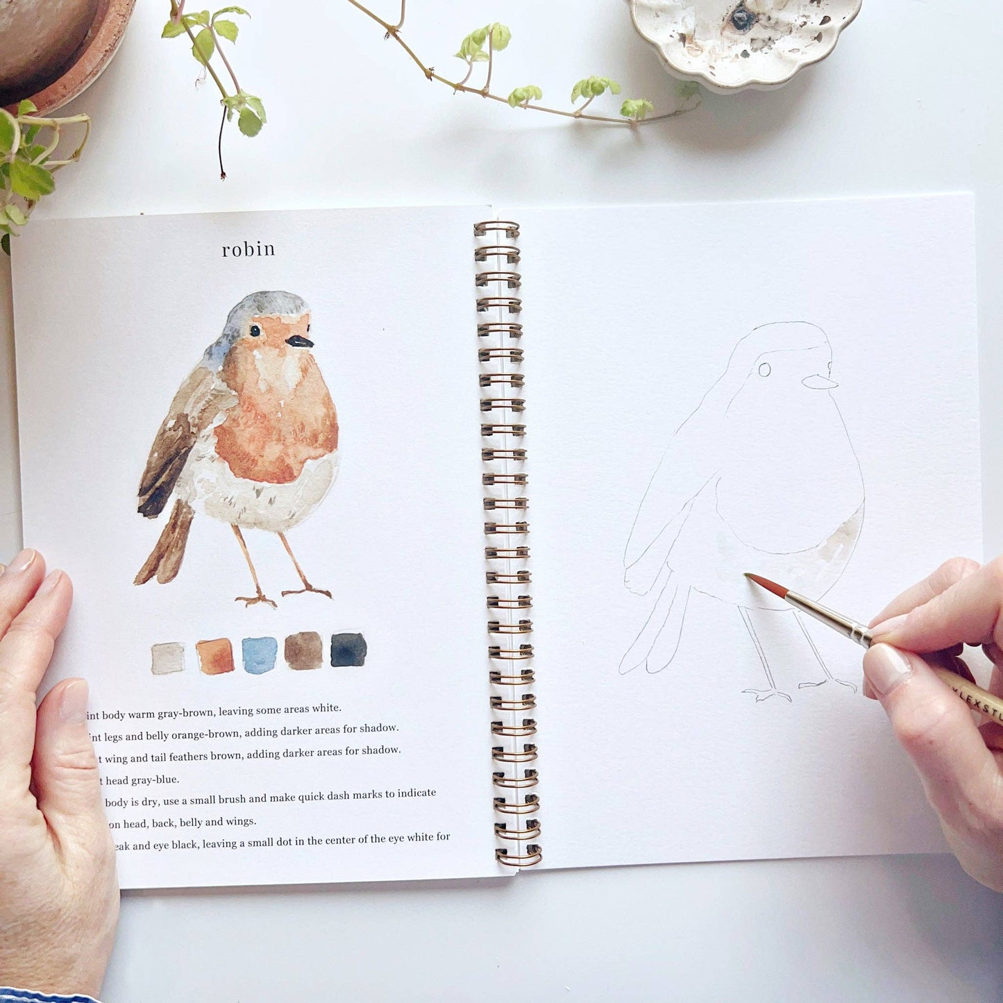 Birds watercolor workbook emily lex studio