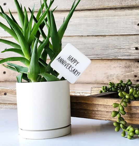 Snarky Plant Marker Stake -  Happy Anniversary