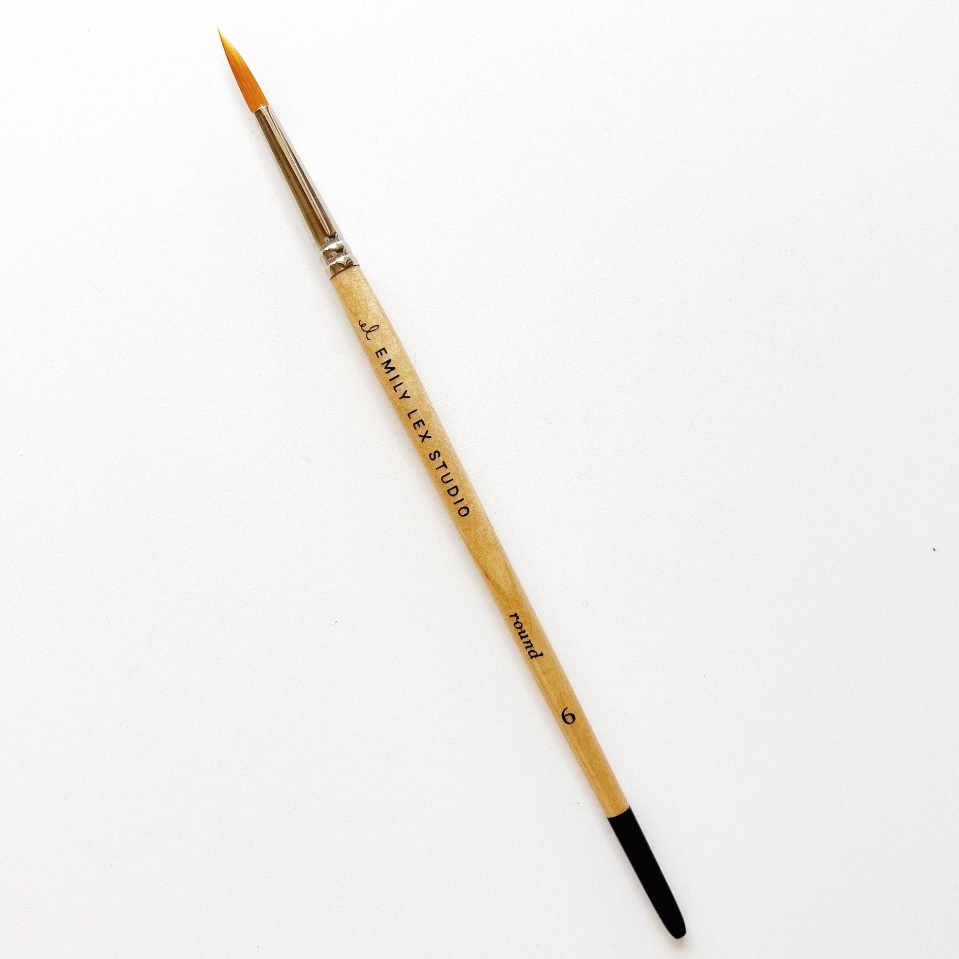 Watercolor paintbrush set emily lex studio
