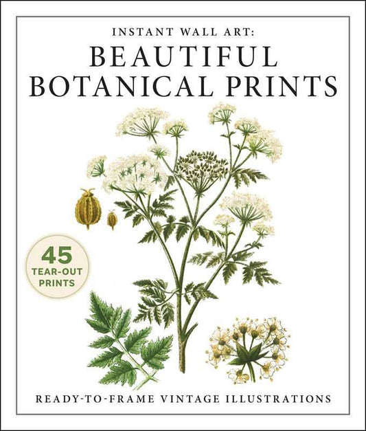 Instant Wall Art: Beautiful Botanical Prints by Adams Media