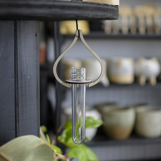 Hanging Propagation Station Still Magnolia