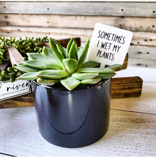 Snarky Plant Marker Stake -  Sometimes I Wet my Plants