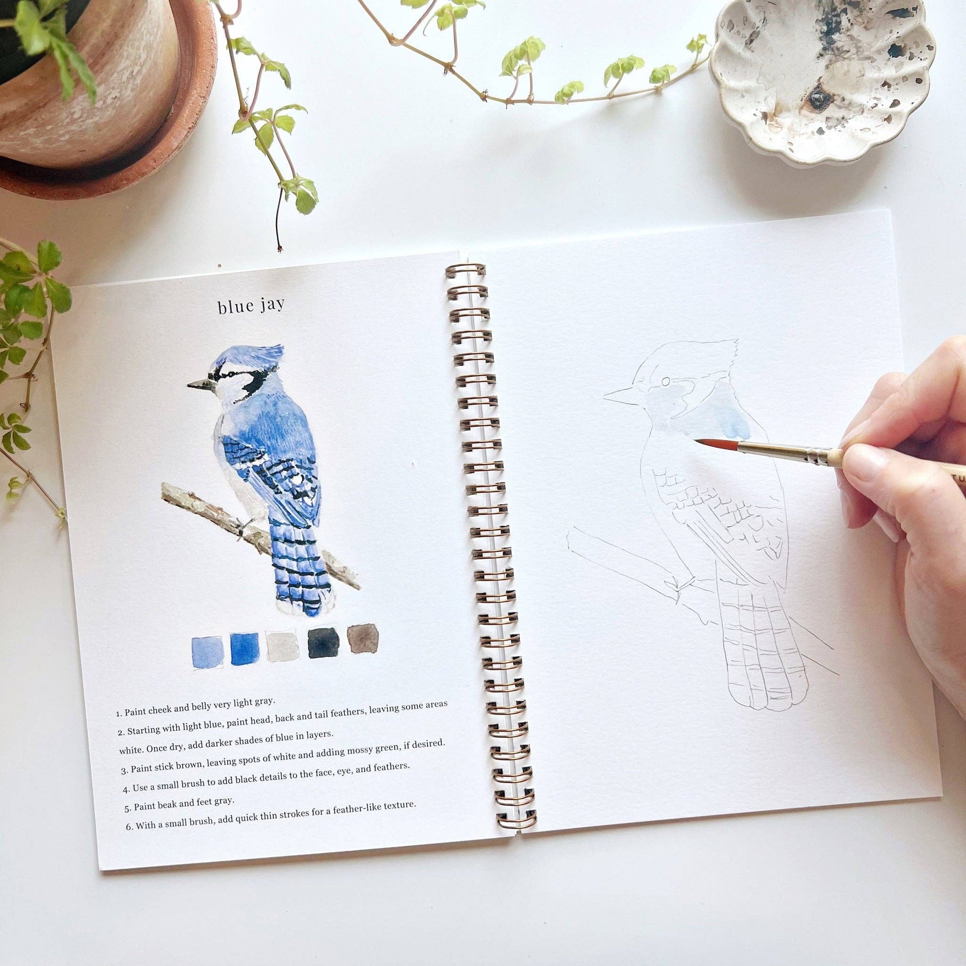 Birds watercolor workbook emily lex studio