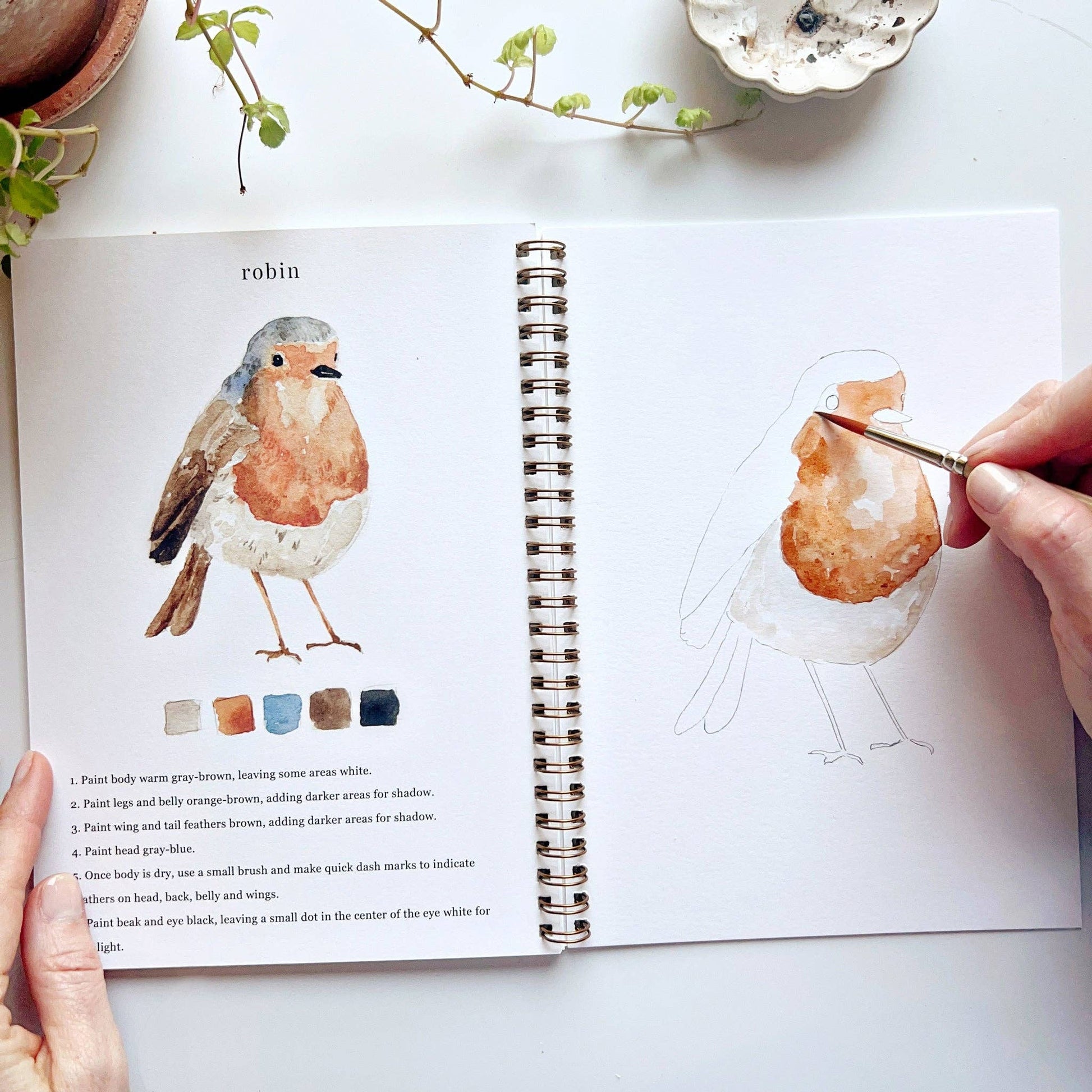 Birds watercolor workbook emily lex studio