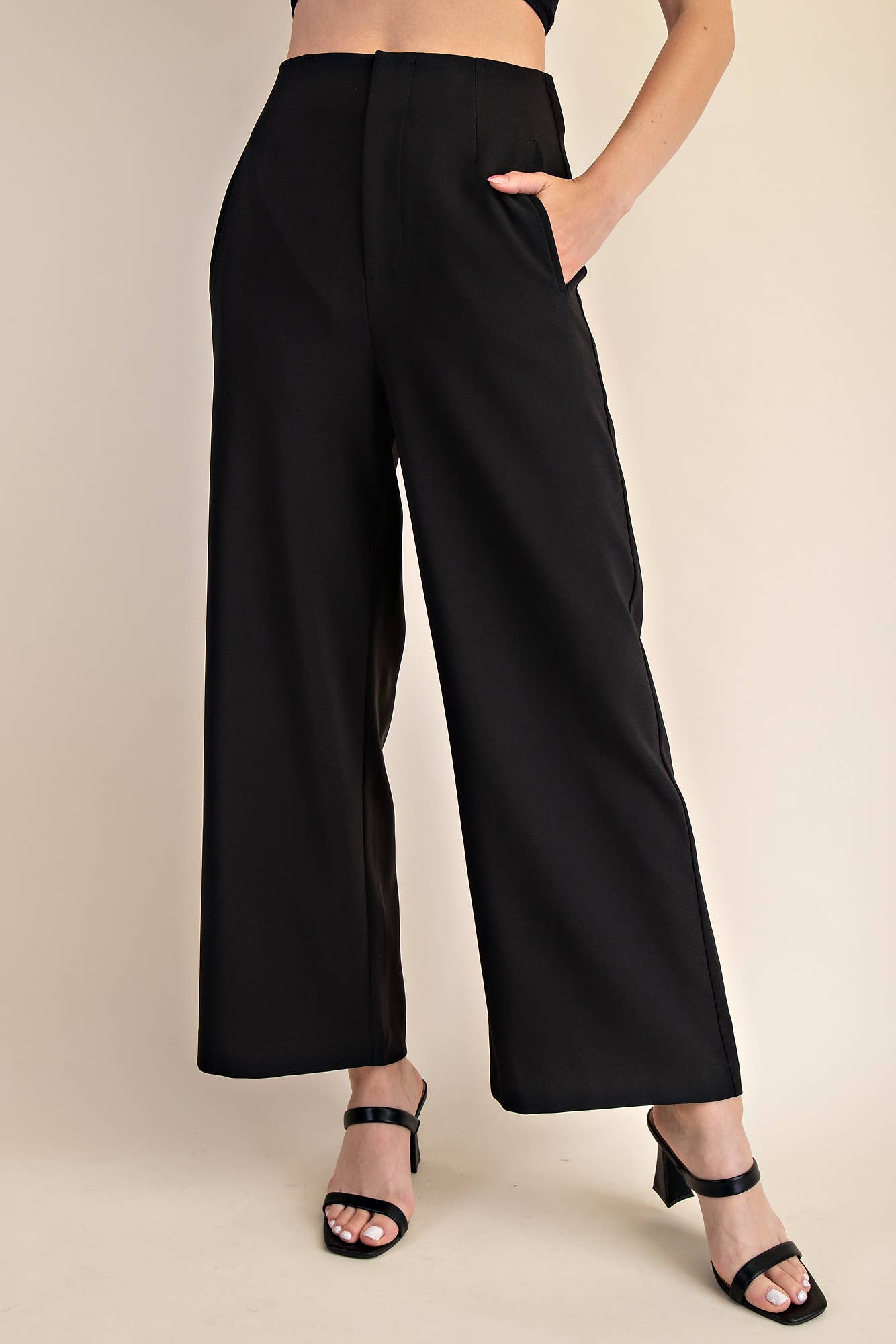 High Waist Wide Pants