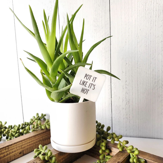 Snarky Plant Marker Stake -  Pot it like it's Hot!