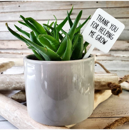 Snarky Plant Marker Stake - Thank you for helping me grow