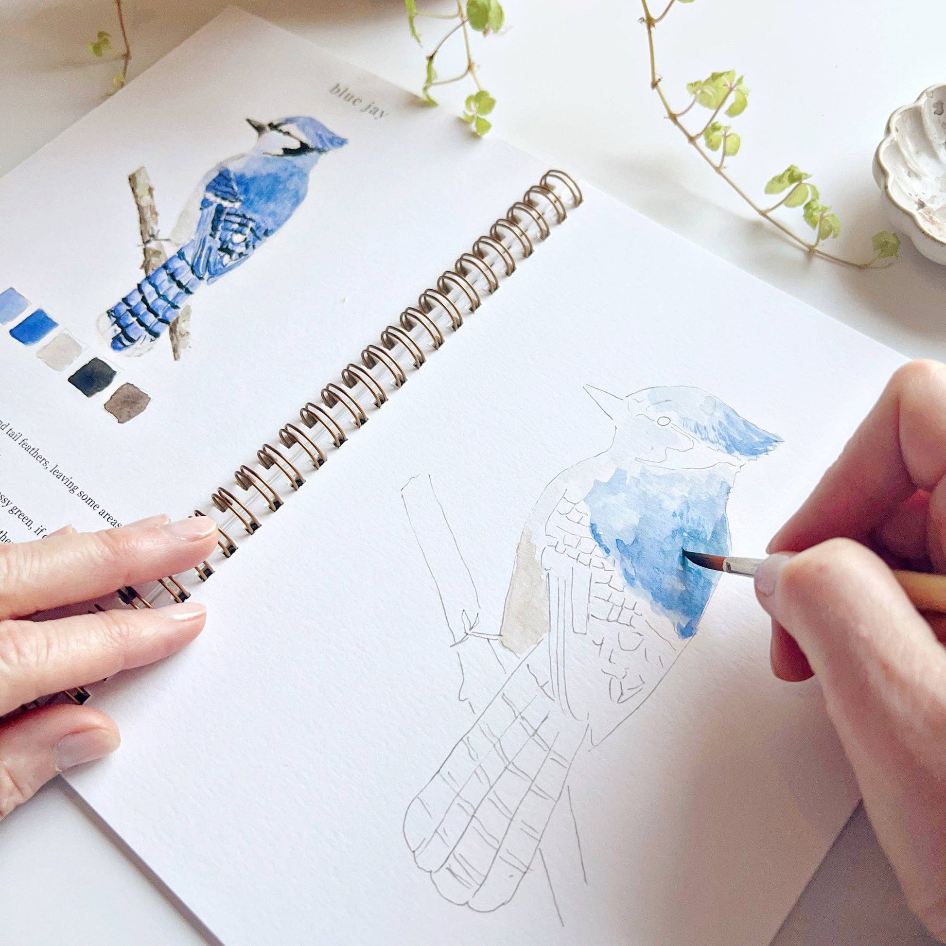 Birds watercolor workbook emily lex studio