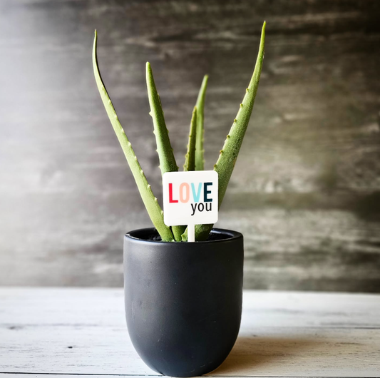 Plant Marker Stake -  Colorful Love You