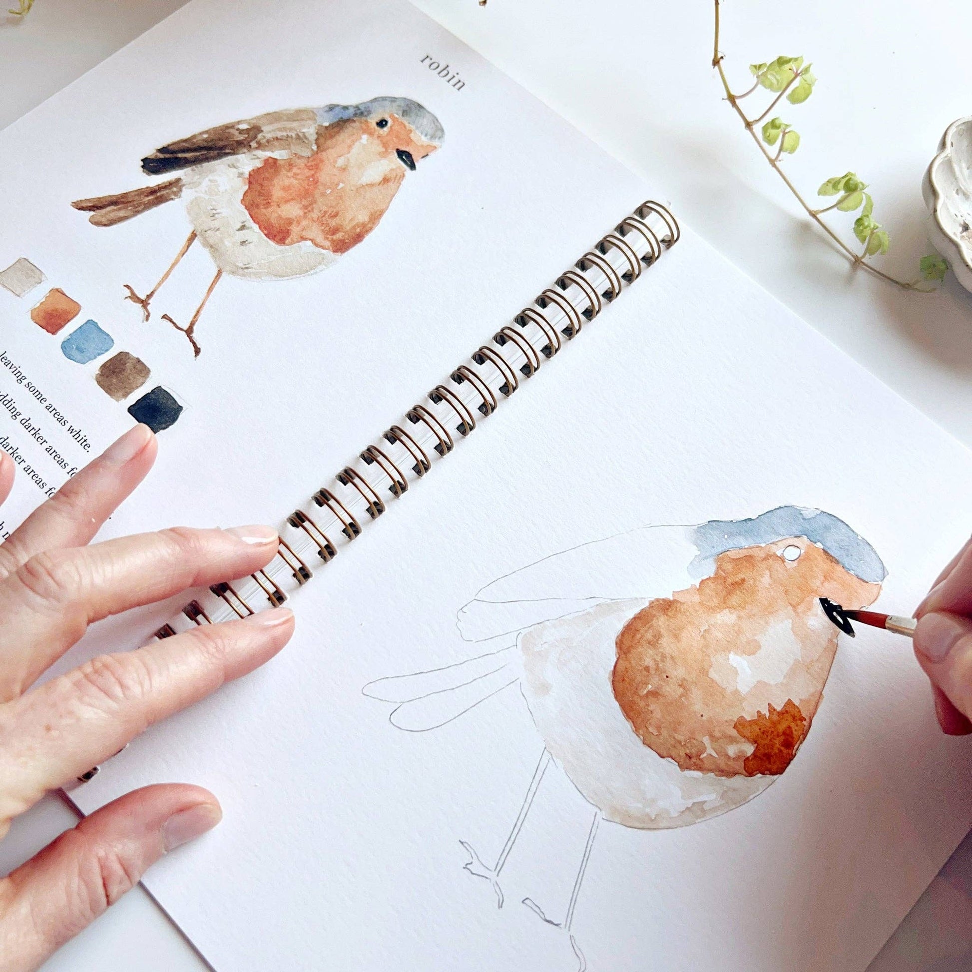 Birds watercolor workbook emily lex studio
