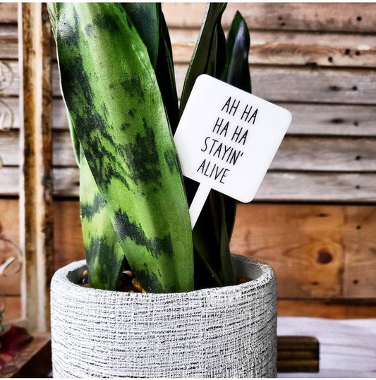 Snarky Plant Marker Stake - Stayin' Alive