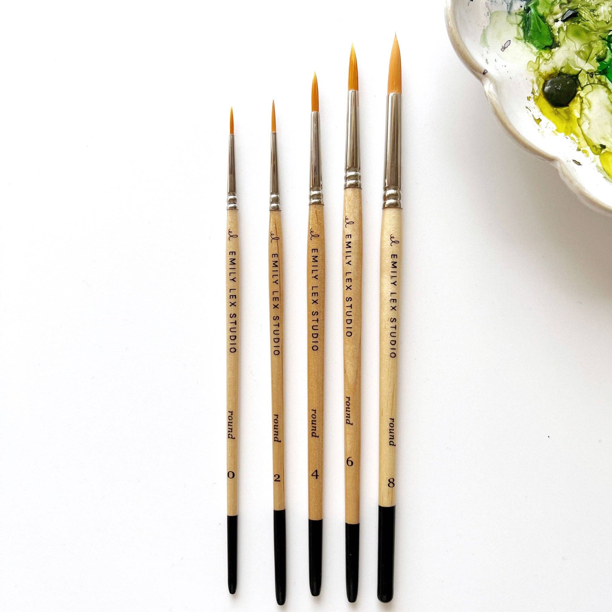 Watercolor paintbrush set emily lex studio
