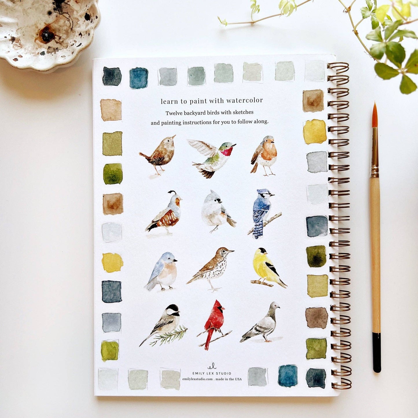 Birds watercolor workbook emily lex studio