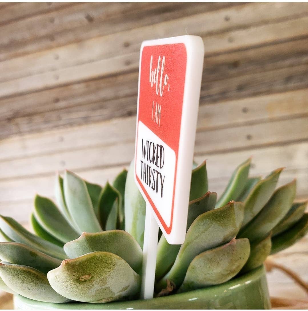 Snarky Plant Marker Stake - They bought another one