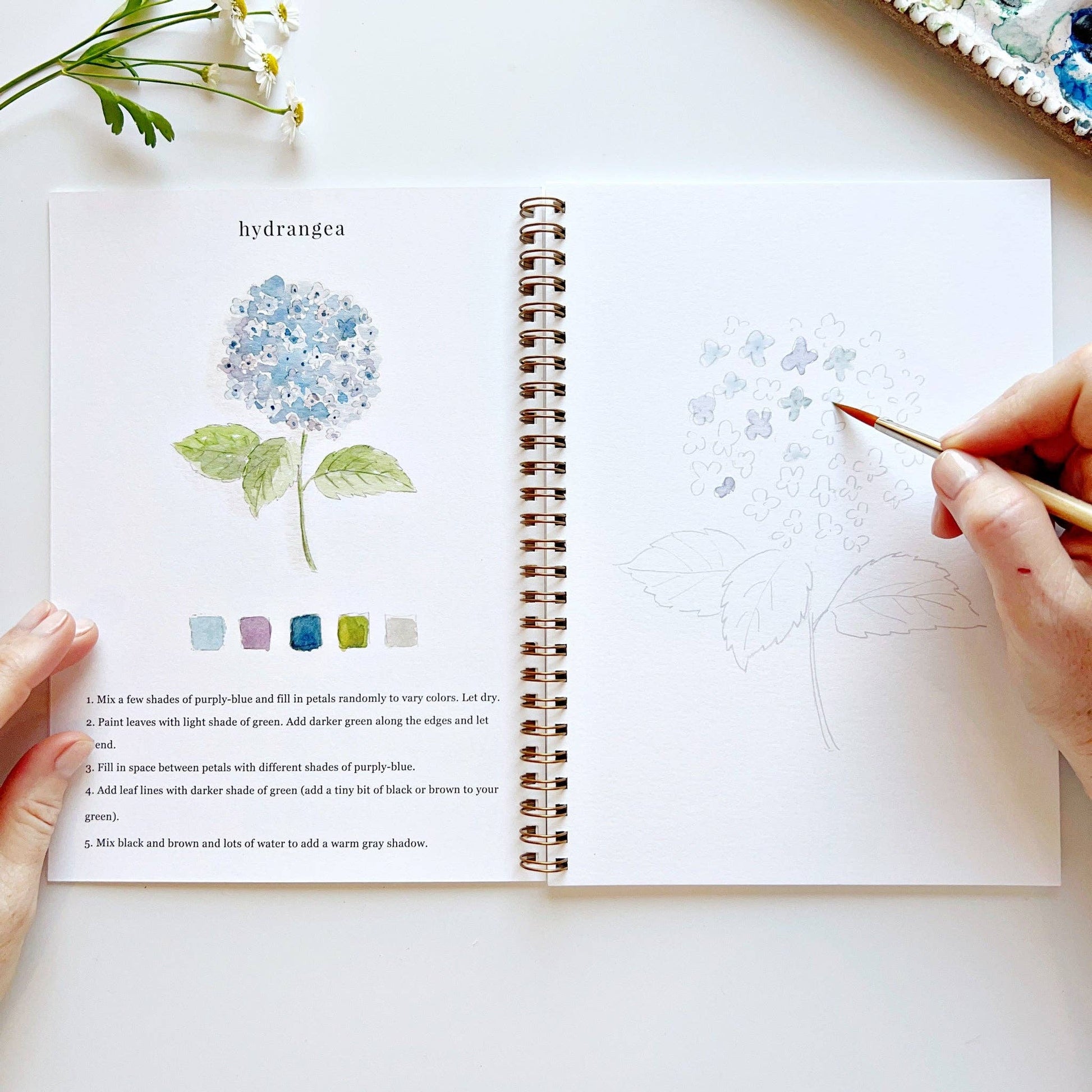 Flowers watercolor workbook emily lex studio